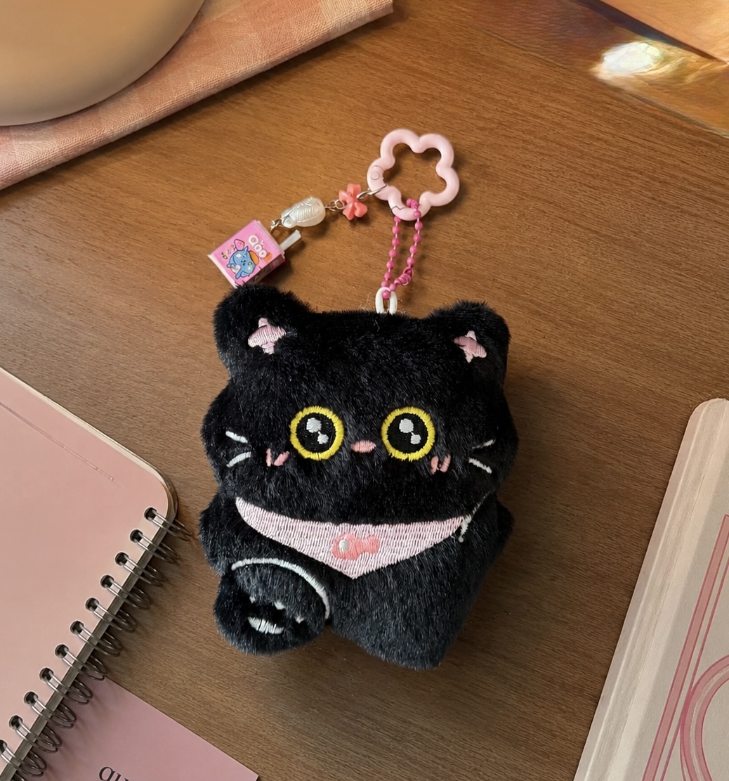 چارم پیشی🐈‍⬛